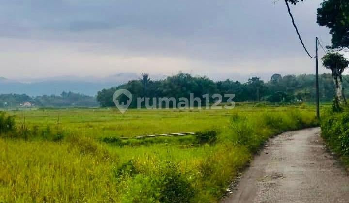 Dijual Tanah Luas 925M2 Sigumpar Toba Samosir