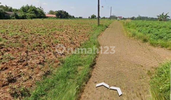 Dijual Tanah Kebon Parung Hijau Bogor 3000m2