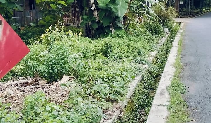 Dijual Tanah Darat Hook Kulon Progo Yogyakarta Hanya 100meter Kejalan Propinsi
