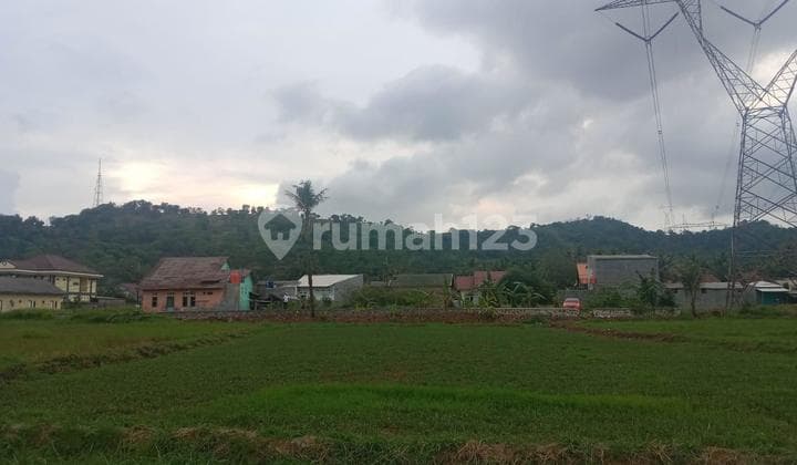 Tanah Sawah Tegal Bunder Dekat Pasar Harga Miring