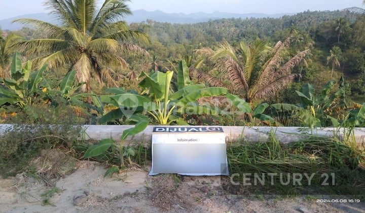 Tanah Jalan Raya Mancak Dekat Jalan Lingkar Selatan