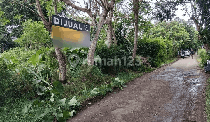 Affordable Land in Cipete Village, Curug, Main Road
