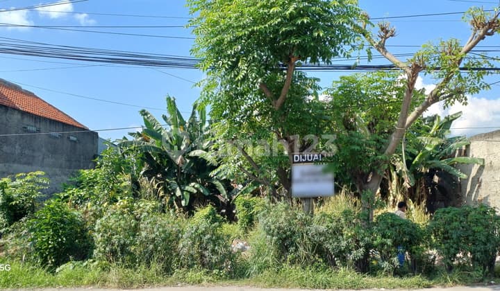 Tanah Kavling Cilegon Jalan Utama Nego Halus