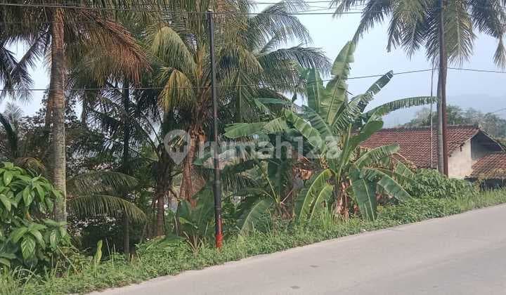 Tanah Link Bagendung Jalan Utama Nego Halus