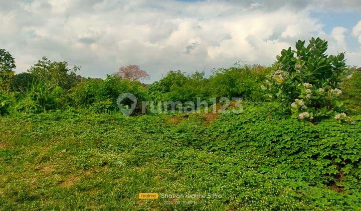SUSUSUSUPER DEAL DI JUAL TANAH LOSS SUNGAI LOKASI KEDIRI TABANAN