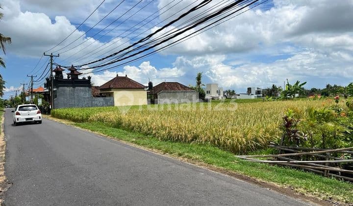 Dijual tanah lokasi kedungu tabanan bali