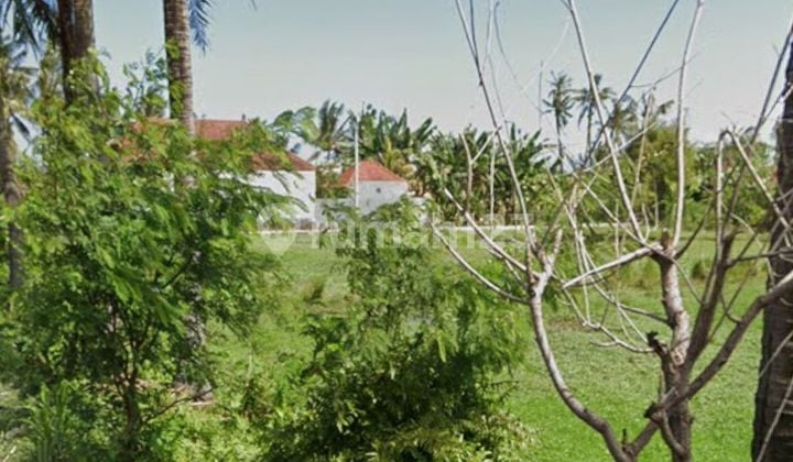 Disewakan tanah lokasi jalan utama pering gianyar