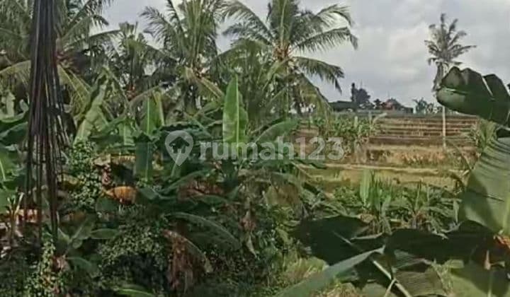 Dijual tanah lokasi silakarang abiansemal badung