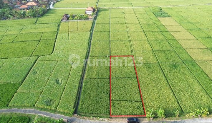 Land for sale located on Pasut beach road, Tabanan Bali