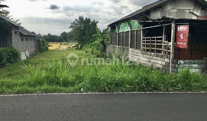 PASTI CLOSING DI JUAL TANAH VIEW SAWAH PINGGIR JALAN LOKASI MENGWITANI BADUNG