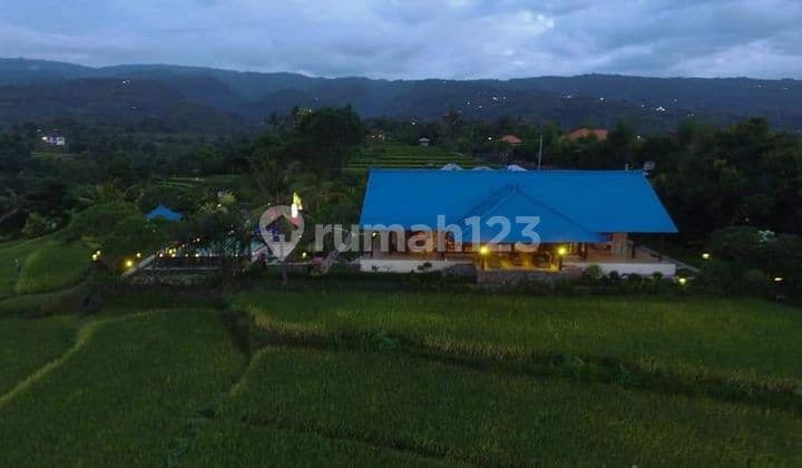 TOP URGENT DI JUAL VILLA LOKASI KAYUPUTIH SUKASADA BULELENG