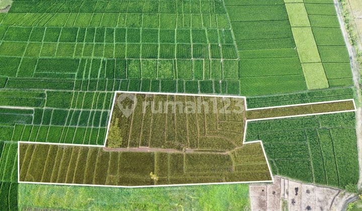 TOP URGENT DI JUAL TANAH LOKASI KELATING KERAMBITAN TABANAN