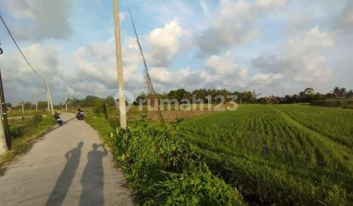 TOP URGENT DI JUAL TANAH VIEW SAWAH LOKASI BELALANG KEDUNGU KEDIRI TABANAN