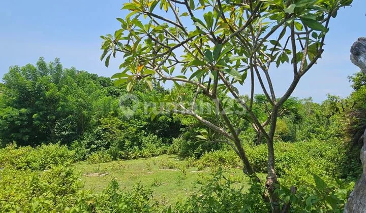 TOP URGENT DI JUAL TANAH LOKASI BALANGAN UNGASAN KUTA SELATAN BADUNG