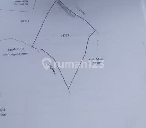 TOP URGENT DI JUAL TANAH VIEW DANAU & GUNUNG BATUR LOKASI KINTAMANI BANGLI