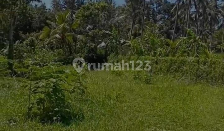 TOP URGENT DI JUAL TANAH LOKASI SANDING TAMPAK SIRING UBUD GIANYAR