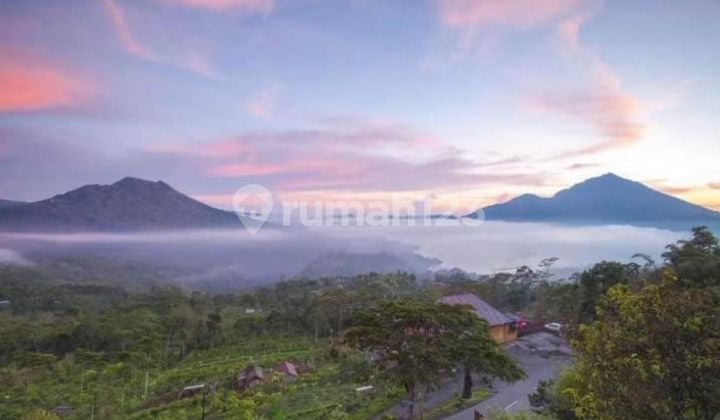 TOP URGENT DI JUAL TANAH VIEW DANAU & GUNUNG BATUR LOKASI PANELOKAN KINTAMANI BANGLI