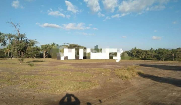 TOP URGENT DI JUAL TANAH LOSS PANTAI VIEW LAUT LOKASI SUMBERKIMA GEROKGAK BULELENG