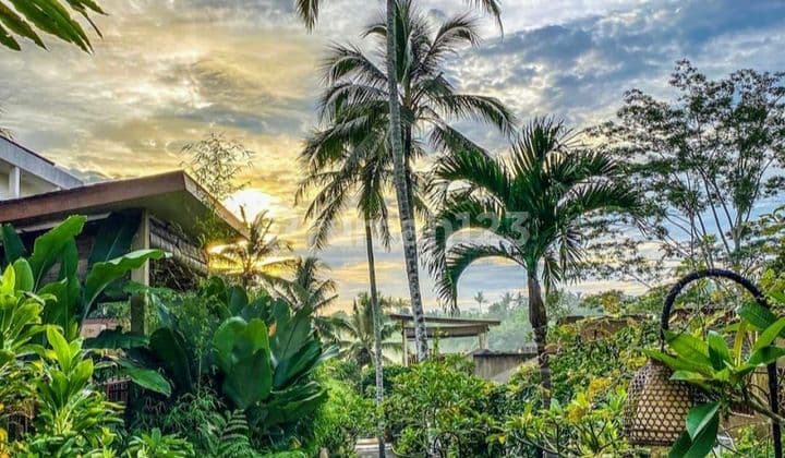 TOP BRO DI JUAL HOTEL LOKASI UBUD GIANYAR