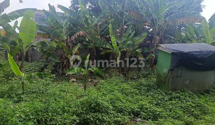 Dijual Murah Tanah Pinggir Jalan Di Bogor Cibinong Jalan Ksr Dadi Kusmayadi