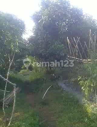 For Sale Cheap Garden & Paddy Fields in Ciater West Java 11260 m2