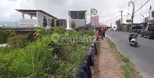 Tanah Jual Lokasi Kintamani