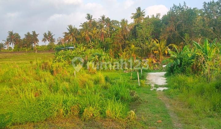 Tanah Jual Lokasi Pantai Nyanyi