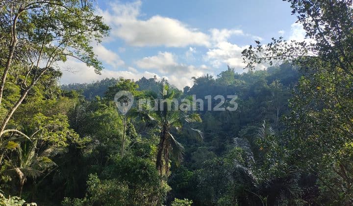 Tanah Jual Lokasi Kerta