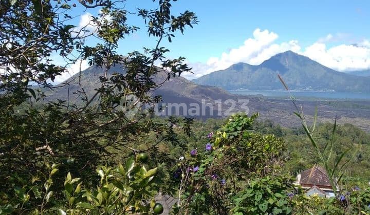 Tanah Jual Lokasi Kintamani