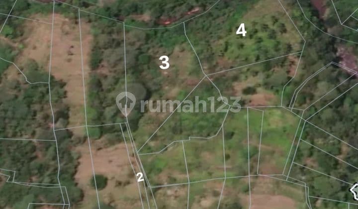 Tanah Jual Lokasi Payangan