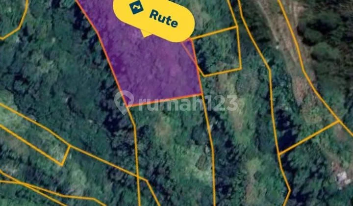 Tanah Jual Lokasi Kintamani Tanah Jual Lokasi Kintamani