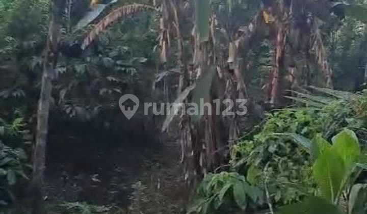 Tanah Jual Lokasi Busung Biu