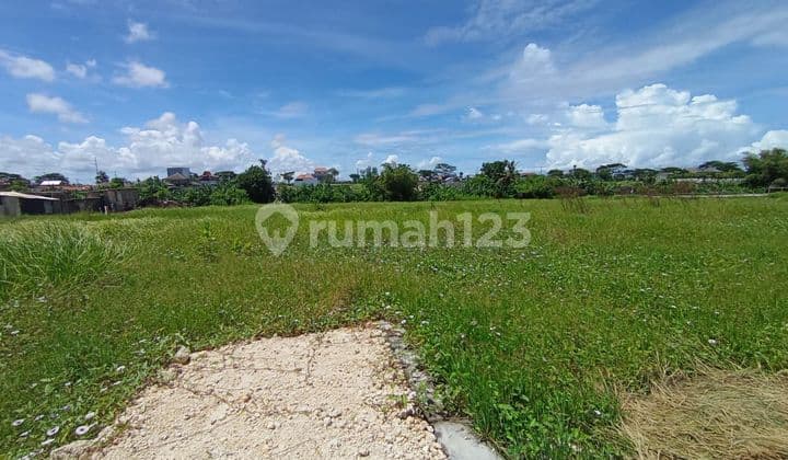 Tanah Jual Lokasi Seseh