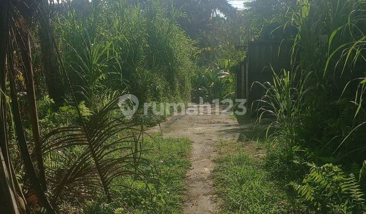 Tanah Jual Lokasi Taro