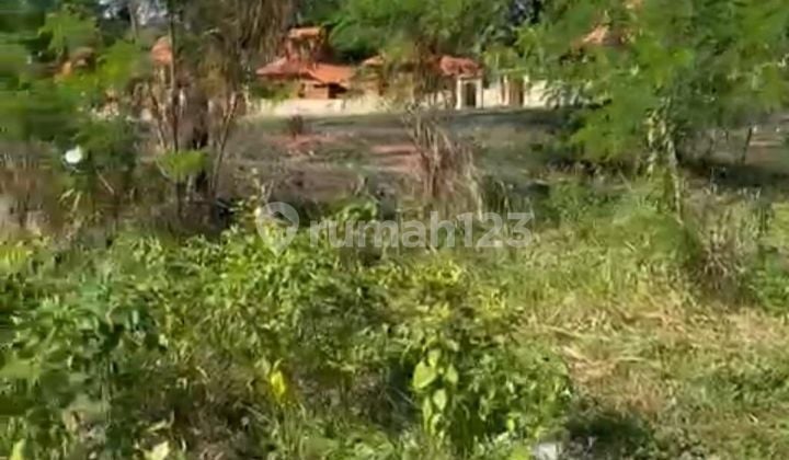 Tanah Jual Lokasi Ubud