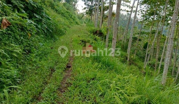 Tanah Jual Lokasi Pelaga