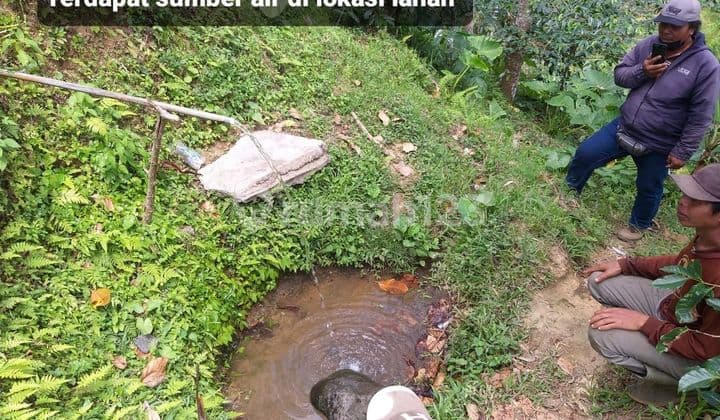 Tanah Jual Lokasi Catur