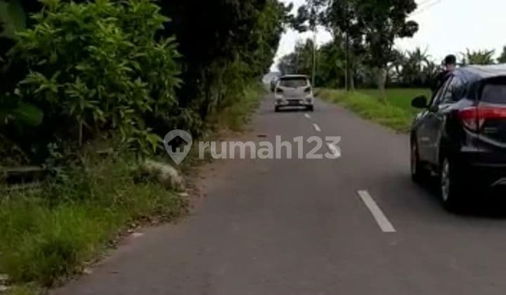 Tanah Jual Lokasi Tulikup