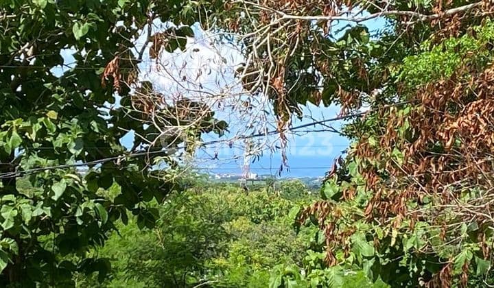 Tanah Jual Lokasi Goa Gong