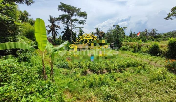 Tanah Jual Lokasi Petulu