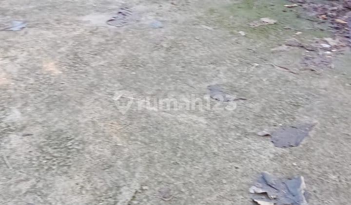 Tanah Jual Lokasi Kedungu