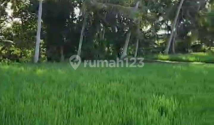 Tanah Jual Lokasi Kemenuh