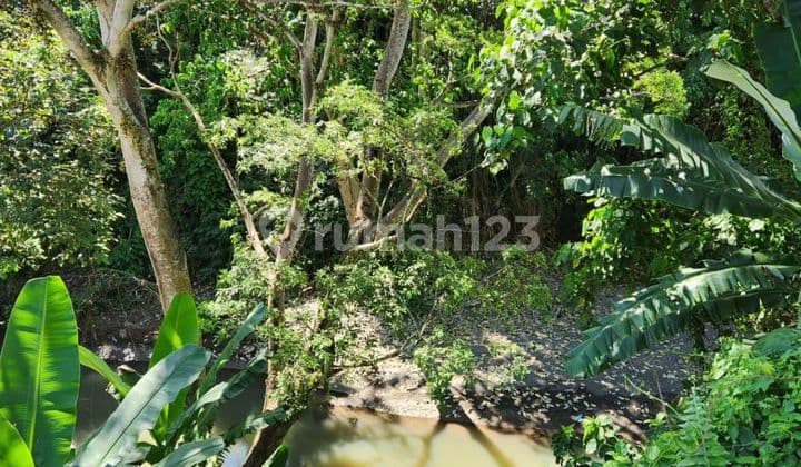 Tanah Jual Lokasi Cempaka