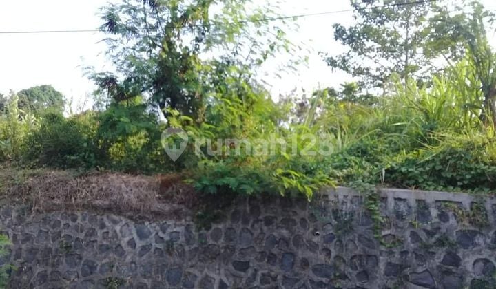 Tanah Jual Lokasi Satra