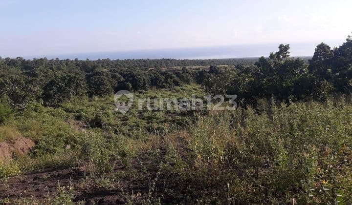 Tanah Jual Lokasi Kubu