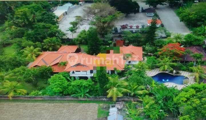 Villa Jual Lokasi Lovina