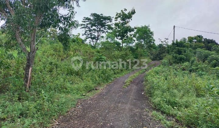 Tanah Jual Lokasi Kubu