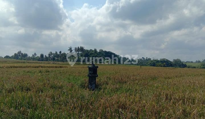 Tanah Jual Lokasi Kelating