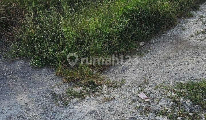 Tanah Jual Lokasi Cemagi