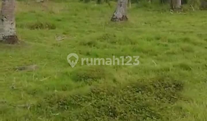 Tanah Jual Lokasi Kaliakah